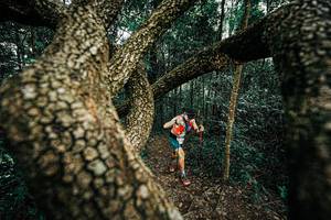 BIB: 
                            <button type="button" onclick="openModal(25393311)" class="btn btn-primary btn-sm float-right btn-popup" data-toggle="modal" data-target=".modal-high-quality">
                        <i class="fas fa-shopping-cart"></i> Add to Cart
                    </button>
                                            <button type="button" onclick="isThisMe(25393311, true)" class="btn btn-success btn-sm float-right btn-popup btn-isme hidden" data-toggle="tooltip" data-placement="bottom" title="นี่คือรูปของคุณใช่ไหม คลิกที่นี่เพื่อเอาเข้าอัลบั้ม">
                        <i class="fas fa-plus"></i> Add to album
                    </button>
                    <button type="button" onclick="isThisMe(25393311, false)" class="btn btn-warning btn-sm float-right btn-popup btn-isnotme hidden">
                        <i class="fas fa-ban"></i> Remove from album
                    </button>